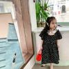 Vestido Infantil Feminino Floral com Gola Peter Pan Manga Curta Vestido Princesa 26 Verão Novo Estilo Comércio Exterior Atacado de Roupas Infantis