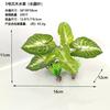 Fornecimento de Itens Decorativos Transfronteiriços, Plantas Verdes Aquáticas, Folhas de Betta, Troncos de Aquário, Plantas Aquáticas, Plantas para Paisagismo de Aquário e Decorações de Fundo para Aquário