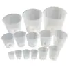 Plántulas Plántulas Vasos Nutritivos Plantas de Plántula Dendrobium Flores en Maceta Orquídeas Plantación Nutritiva Plástico Phalaenopsis Transparente