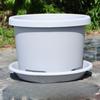 Base de Bandeja para Maceta de Bulbo Transpirable Resina Plástico Bandeja para Flores Bandeja para Agua Engrosada Soporte para Flores Almohadilla para Bonsái Chasis Bandeja Inferior