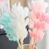 Buntail ramo de flores secas estilo Ins bolsa decorativa de flores secas ramo cola de perro flor seca color macarrón cola de conejo