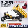 Motocicleta de Três Rodas Leão Dourado Transfronteiriça Gasolina Motor de Descarga Dianteiro Carga de Frete Agrícola Rei da Carga Triciclo