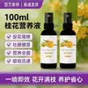Solución Nutritiva Especializada para Osmanthus, No Requiere Dilución, Fertilizante Foliar Universal, Adecuado para Floración en Todas las Estaciones, Fertilizante para Osmanthus al por Mayor