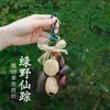 Sino de Mão para Cura Sonora com Casca de Fruta de Yunnan, Pingente de Bolsa de Frutas Realizadora de Desejos, Ornamento de Presente Boneca de Casca de Fruta, Outros Couros