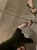 Sandalias de Tira Chuyu Jifang Estampado de Leopardo para Superficie del Cuero Cabelludo Versátiles de Tacón Bajo