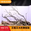 Árbol para paisajismo de acuario sudamericano, ramas secas, ramas de peral amarillo, decoración de sustrato, pecera pequeña, ramas naturales, decoración de paisajismo y paisajismo.