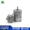 CRB2BW30-90SZ CDRB2BW20-180SZ CDRB2BWU40-270SZ Cilindro rotatorio de paletas