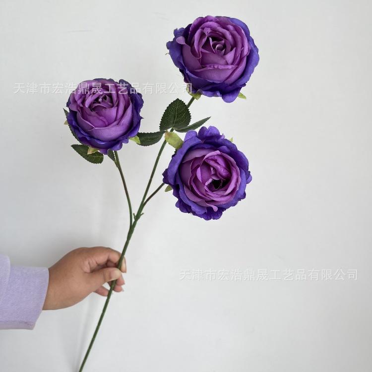 986c38e63ed7e19a750801348d1e6f