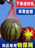 Bolsa de Malla para Sandía Colgante Venta al por Mayor Bolsa Tejida de Plástico Empaque Bolsa de Malla de Nylon Envío Gratis Bolsa de Malla para Ramo de Frutas de Sandía Colgante