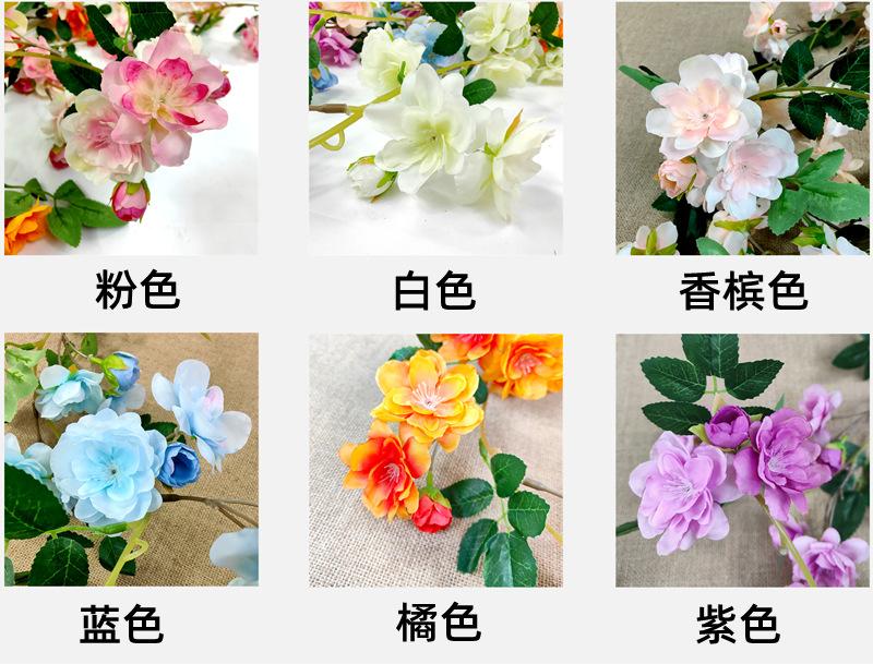 详情3.png