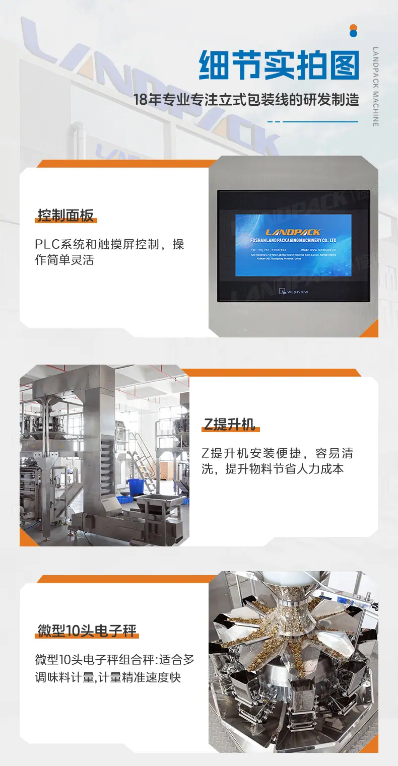 LD-420A背封立式机+10头0.5L组合称+Z型提升机+