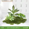 Plantas Artificiales, Vegetación Simulada para Paisajismo, Decoración de Paisajes Interiores y Exteriores, Escaparates, Arte Floral Artificial, Arreglos de Musgo, Hierba de Viajero