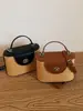 Bolso de Mano de Nicho de Moda con Hebilla de Cerradura para Mujer, Nuevo Modelo Primavera 2026, Bolso de Hombro y Cruzado Exquisito, Simple y Elegante