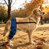 Cubiertas para Patas Delanteras, Codos y Rodillas para Perros Medianos y Grandes de Primavera y Verano, Anti-Mordiscos y Anti-Desgaste, Pastor Alemán, Golden Retriever, Labrador
