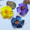Grampo de Cabelo Flor Hasang de Verão Dopamina Feminino Flor Lateral Atmosfera de Férias na Praia Acessórios de Cabelo Franja Presilha Bico de Pato