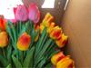 Flor Artificial Tulipa suprimentos de casamento festival da primavera suprimentos de Ano Novo atacado e varejo
