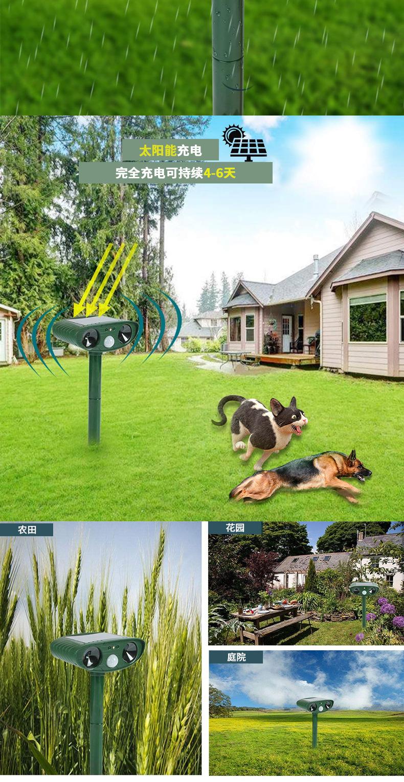 亚马逊热销产品