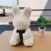 Regalo de Conejo de Flor Eterna para Novia, Mejor Amiga, Aniversario de Boda, Navidad, Día de San Valentín, Regalo de Cumpleaños, Conejo Celebridad de Internet de Flor de Rosa