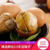 Huevos de Embrión de Pollo Cocidos con Cinco Especias Picantes, Huevos Incubados de 13 Días, Huevos Sin Pelo, Huevos Templados, Huevos No Peludos, Venta al por Mayor Transfronteriza