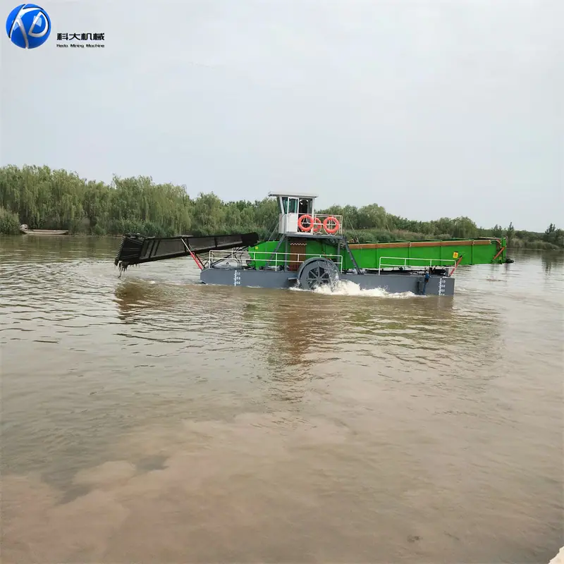 IMG20230510140353.jpg