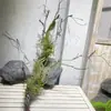 Cipó cipó de árvore morta espumado decoração de casamento tubo ar condicionado paisagismo galhos galhos de salgueiro cipó tiras de cipó