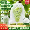 Bolsas de tela no tejida con cordón en stock para uvas, a prueba de insectos y pájaros, para protección de huertos al aire libre, cubiertas para frutas