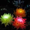 Luzes Solares de Crisântemo Transfronteiriças para Exterior Pátio Gramado Chão Jardim Decoração Paisagem Super Brilhantes Solares
