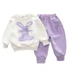 Traje de manga larga para niña estilo coreano nuevo Primavera Suéter estampado de conejo grande para niños Traje de calle estilo occidental para niña pequeña