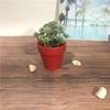 Vaso de Flores de Terracota Vermelha Simples para Jardinagem Vasos de Argila Grandes e Pequenos Vasos Respiráveis para Plantas Verdes Vasos de Flores Cerâmicos com Pratinhos