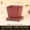 Vaso Quadrado Criativo Planta Suculenta Árvore da Fortuna Bonsai Jardinagem Especial Vaso de Flor de Resina Vaso de Plástico Simples
