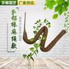 Suministros del Fabricante Modelado DIY Varilla de Aluminio de 4 mm Varilla de Coco para Trepar Plantas Columna Trepadora Deformable Soporte de Rábano Verde