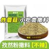 Condimento especial para champiñones fritos: Pleurotus Eryngii, Setas Ostra, Sal de Pimienta, Polvo de Comino, Camarones Picantes, Snacks Fritos Crujientes para Uso Comercial