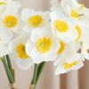 Flor de simulación narcisos ramo de océano narcisos de tela de seda estilo pastoral comercio exterior AliExpress Taobao explosiones narcisos