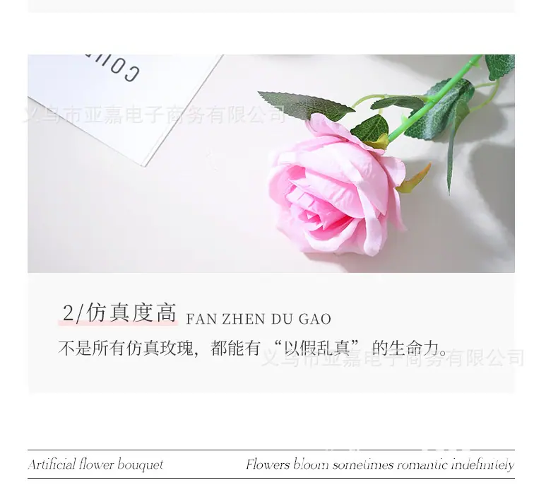 1757401633178_091d7519-2be2-4f