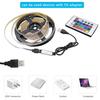 Juego de Tira de Luces LED Personalizado Rgb Bluetooth Música Bajo Voltaje Colorido Exterior Impermeable Tira de Luces Caja de Luz Ritmo Musical