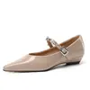 Zapatos Mary Jane Versátiles para Mujer Estilo Nuevo Primavera 2026, Zapatos de Cuero Retro con Punta Fina, Zapatos de Tacón Grueso de Boca Baja para Mujer