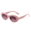 Óculos de Sol Cat-Eye de Nova Moda Transfronteiriços para Mulheres, Óculos de Sol Ovais Xiaohongshu, Óculos de Sol Retrô Personalizados para Mulheres