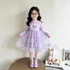 Nueva colección de otoño: Vestido de princesa Elsa para niñas, 2026 de manga larga, elegante y voluminoso de tul, perfecto como atuendo de cumpleaños