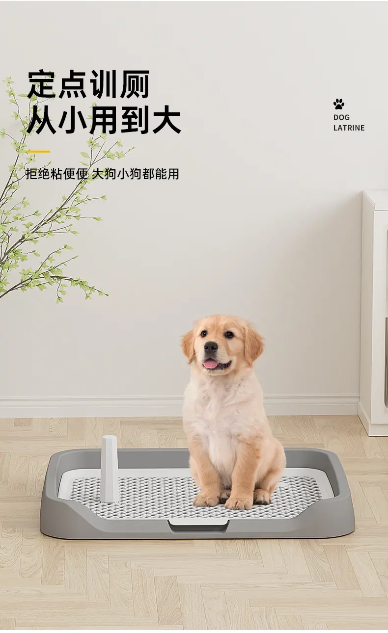 详情_03.jpg