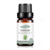 Empaque Completamente en Inglés Aceite Esencial Único de Árbol de Té para Fragancia de Velas DIY, Aceite Esencial de Árbol de Té, Aceite Esencial de Aromaterapia de Árbol de Té