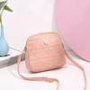 Bolso bandolera Lingge para mujer 2023. Bolsos de moda. Bolso de mujer de moda. Bolso de mujer Guangzhou. Bolso de concha estilo occidental.