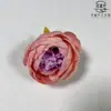 Estoque Disponível Fornecimento Cabeça de Flor de Peônia 9cm Decoração de Caixa de Presente DIY Transfronteiriça Parede de Flores de Casamento Decoração de Fotografia Doméstica