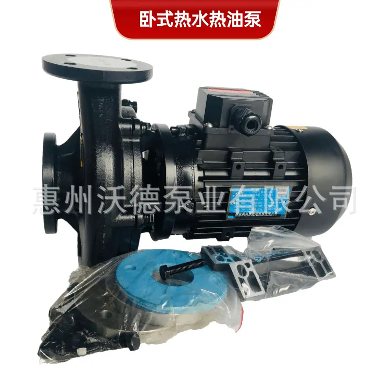 RGZ高温泵正2