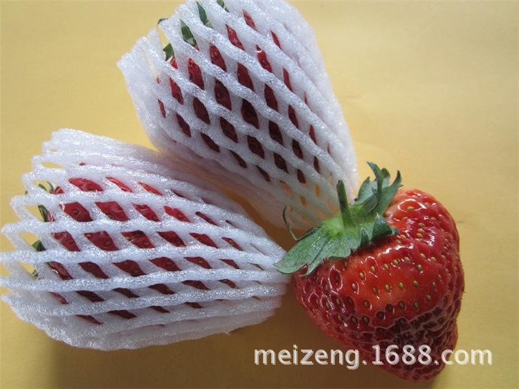 1EPE foam net (8)