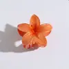 Grampo de Cabelo Plumeria Colorido Transfronteiriço, Grampo de Cabelo de Flor Gradiente de Alta Qualidade, Presilha de Tubarão para Rabo de Cavalo Acessório de Cabeça na Parte de Trás da Cabeça