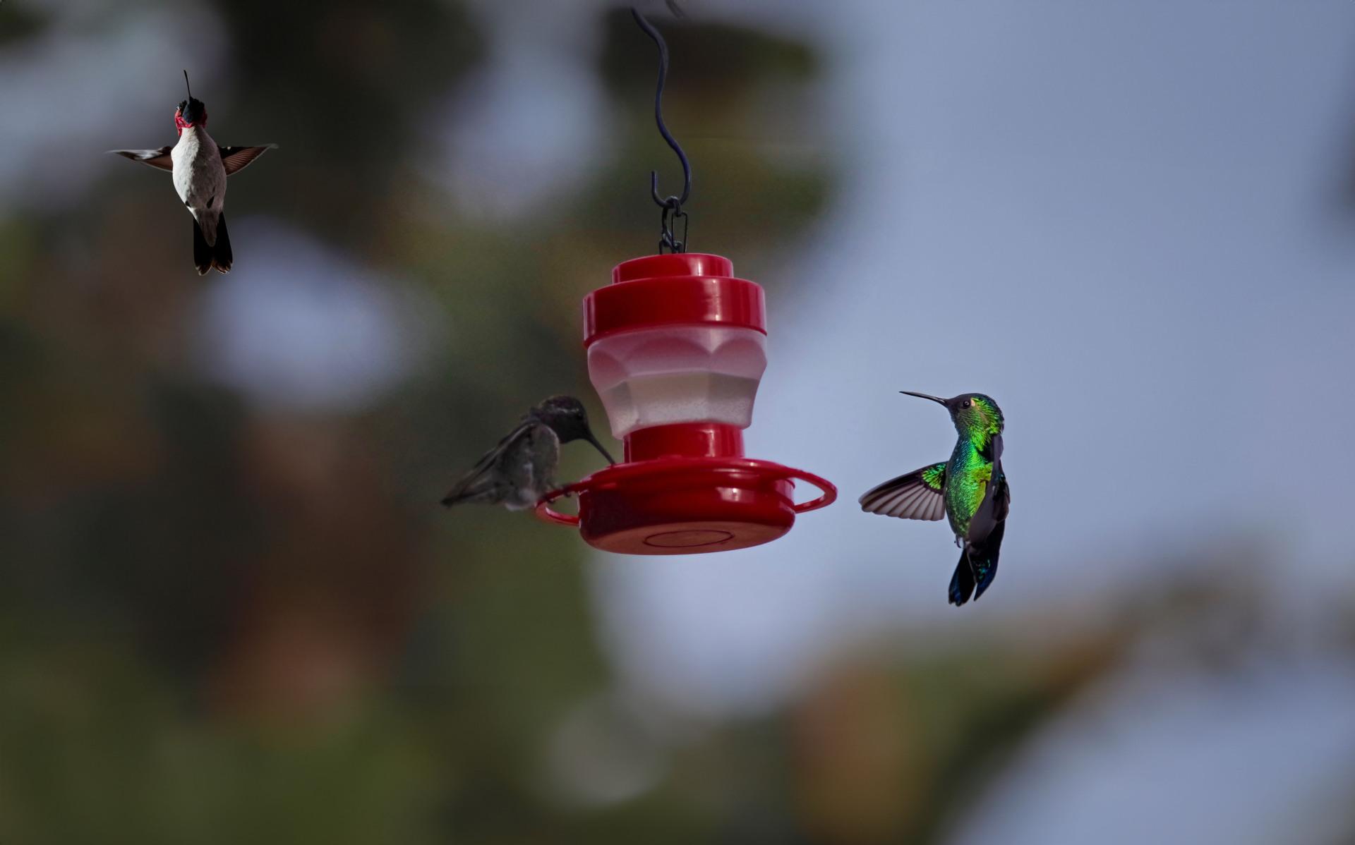 微信图片_20230613152750