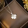 [Aço Titânio] Popular Colar de Diamante para Mulheres, Brincos com Pingente de Trevo de Quatro Folhas em Concha Branca, Novos Brincos de Luxo, Corrente para Clavícula
