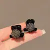 Pinza para el Pelo Lateral Exquisita de Gama Alta para Mujer, Tamaño Pequeño, para Cabello Suelto y Flequillo, Pinza Bb Elegante de Celebridad de Internet, Accesorio para el Cabello Pinza de Garra de Hada