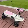 Carro Elétrico Twist Versão Adulto Alta Potência Adulto Antirrolagem Deslocamento para o Trabalho Alta Velocidade Longa Autonomia Modificação