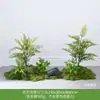Planta Artificial Empilhada para Paisagismo Sob Escada, Samambaia & Pteri
